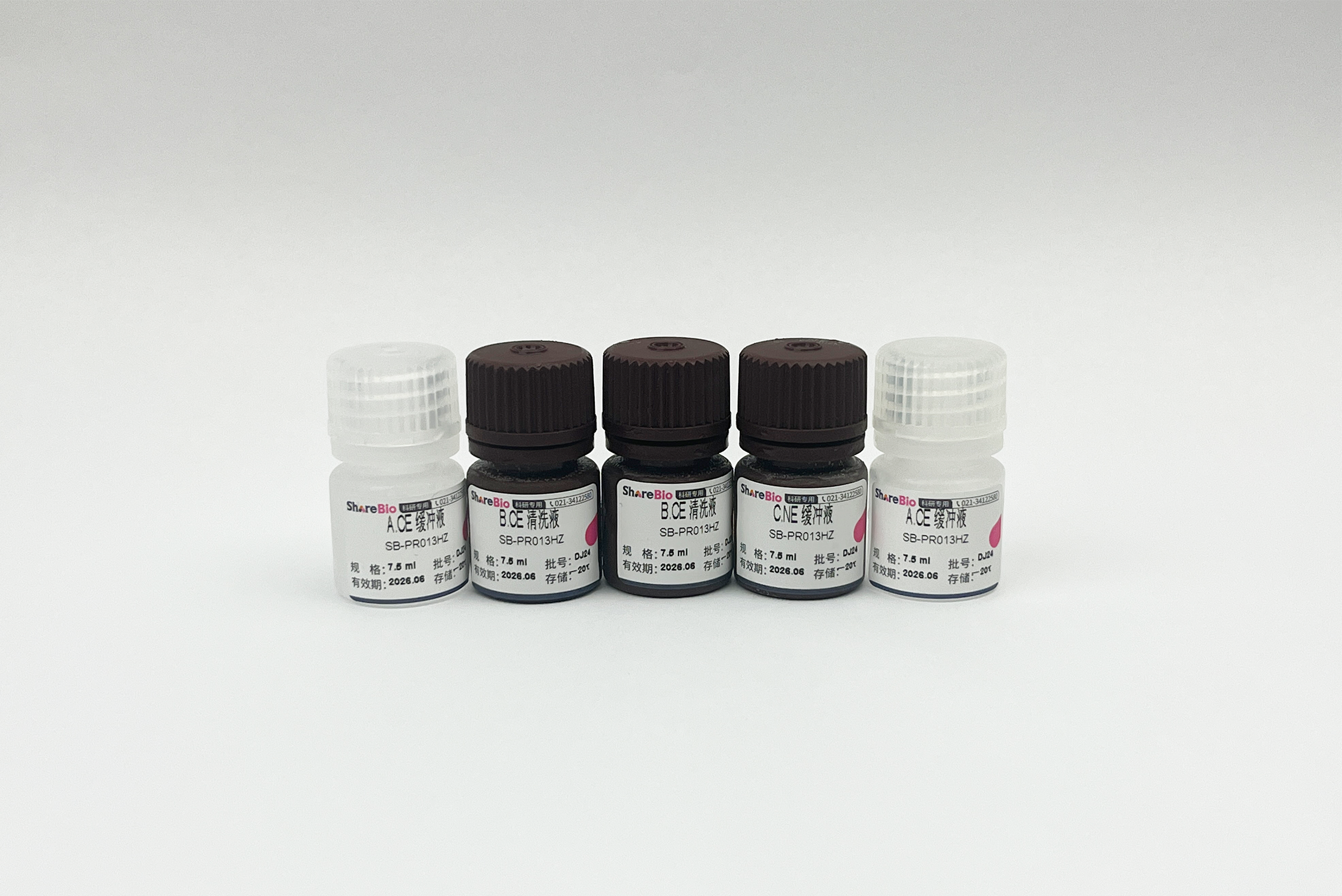 细胞核蛋白与细胞浆蛋白抽提试剂盒Nuclear and Cytoplasmic Protein Extraction Kit
