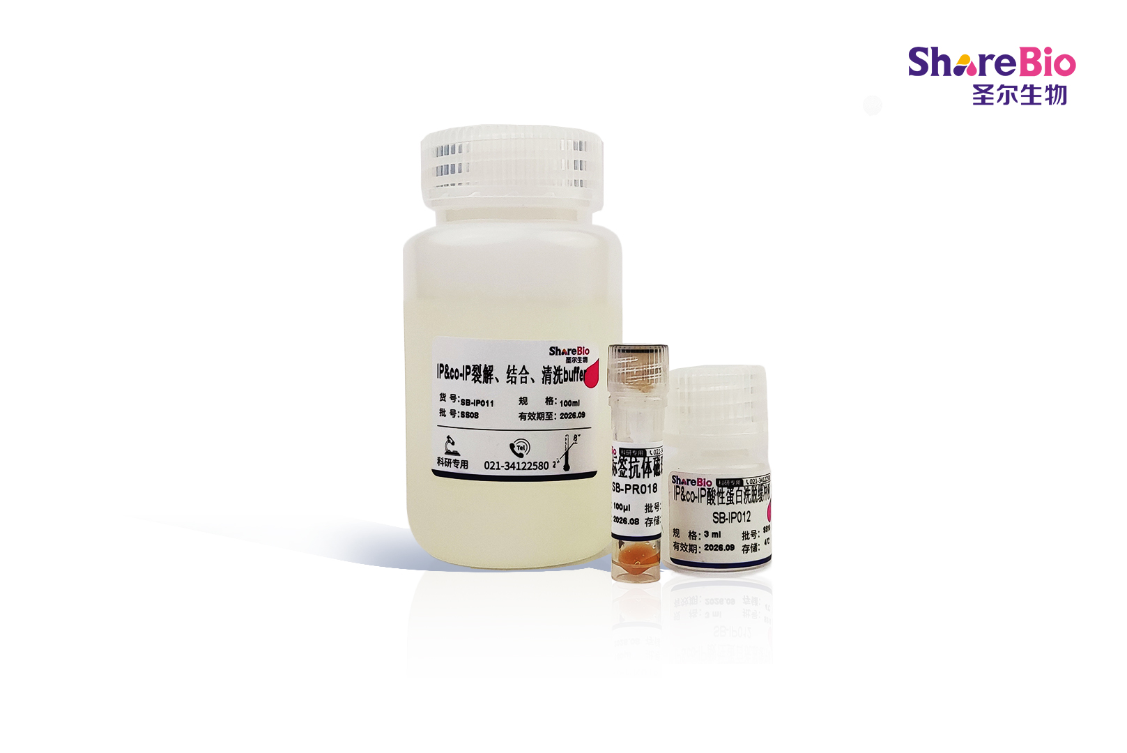 抗V5磁珠试剂盒(IP/Co-IP)Anti-V5 Tag Magnetic Beads