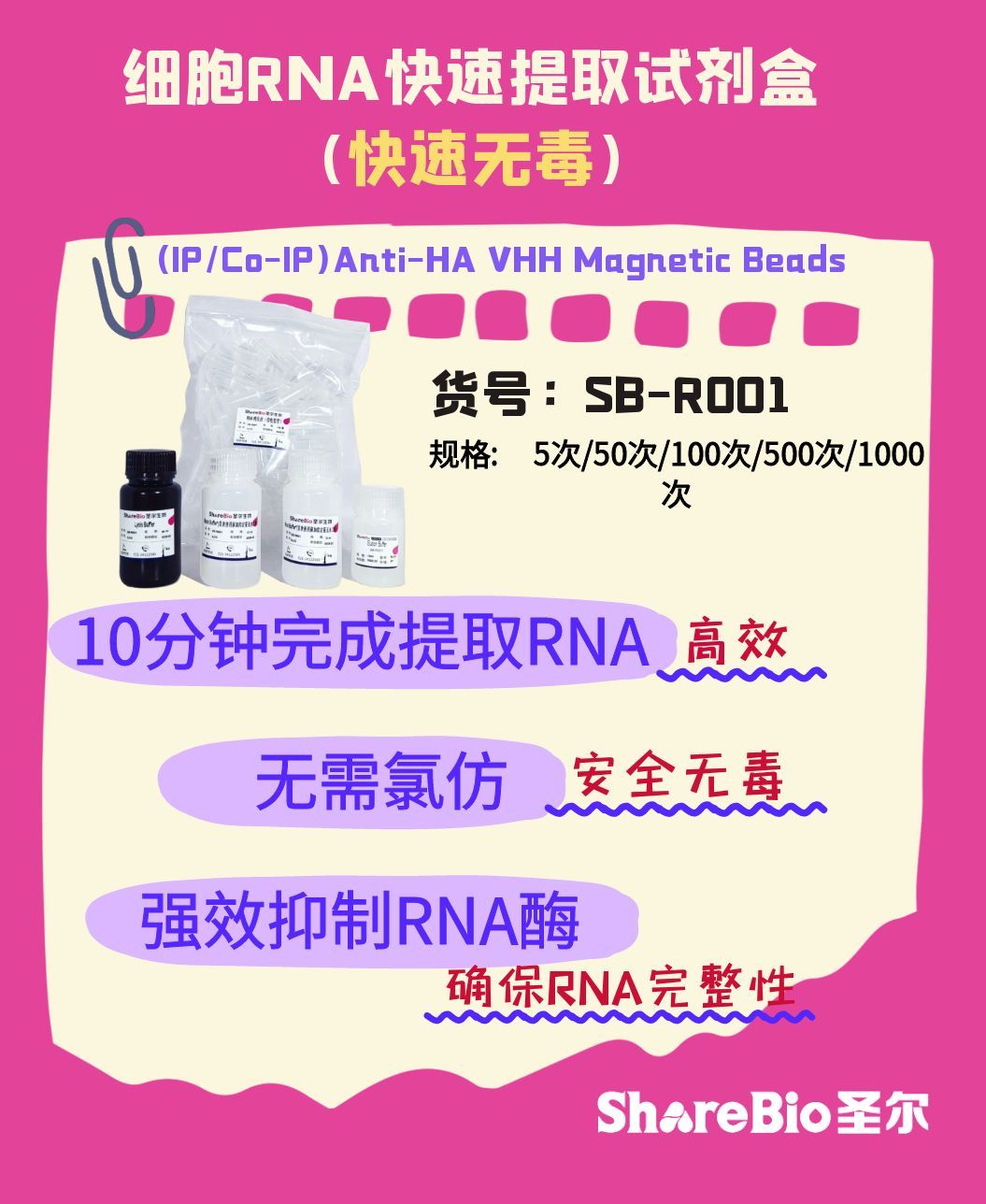 细胞RNA快速提取试剂盒(快速无毒) Rapid RNA Isolation Kit for Cells