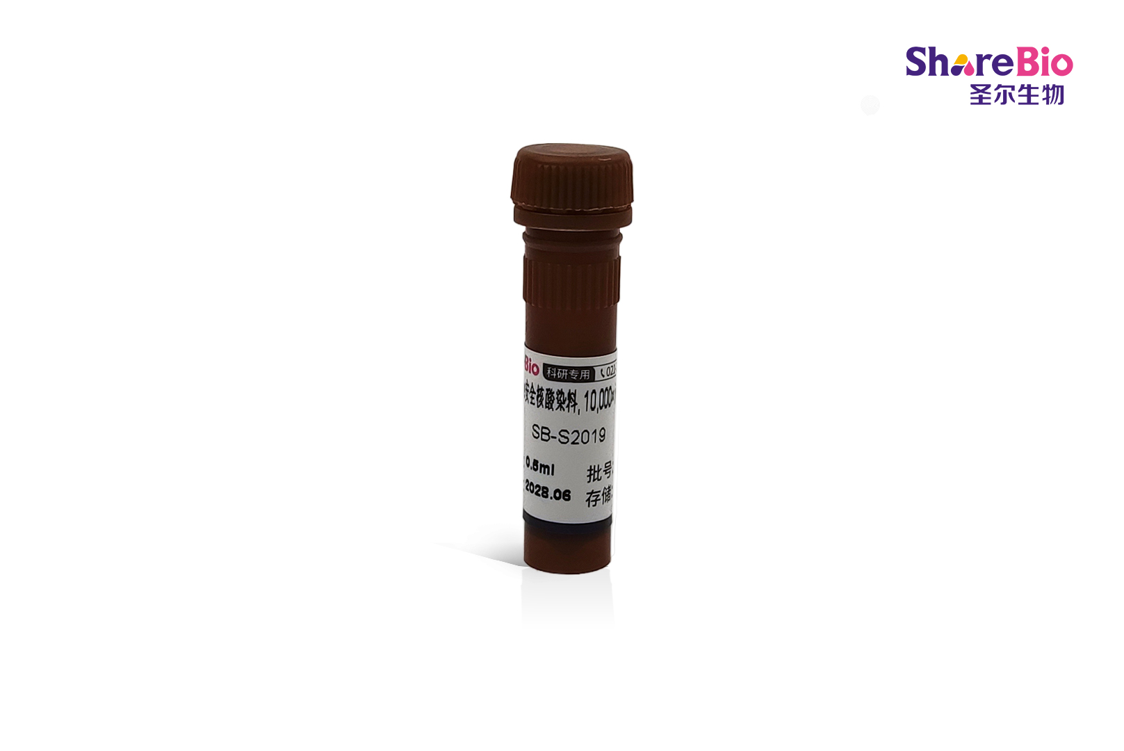 GelBlue安全核酸染料, 10,000× in water Gel Blue DNA Stain;Gel Blue nucleic acid gel stain
