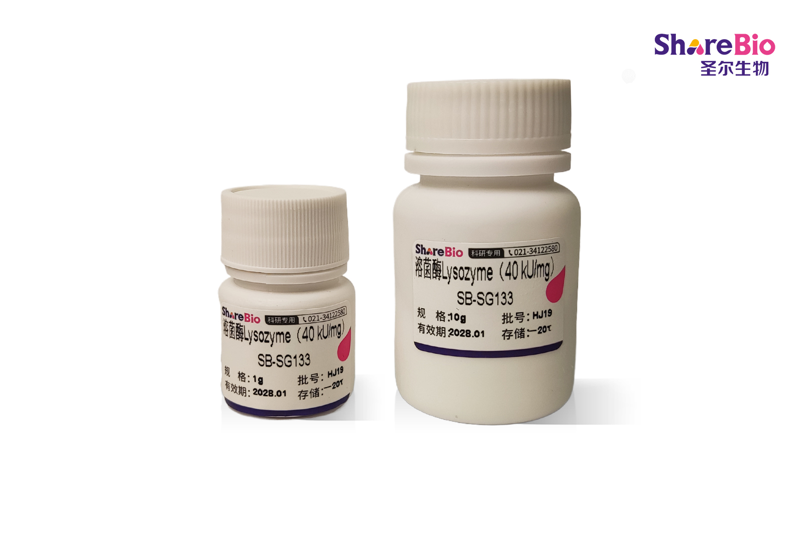 溶菌酶Lysozyme（40 kU/mg）