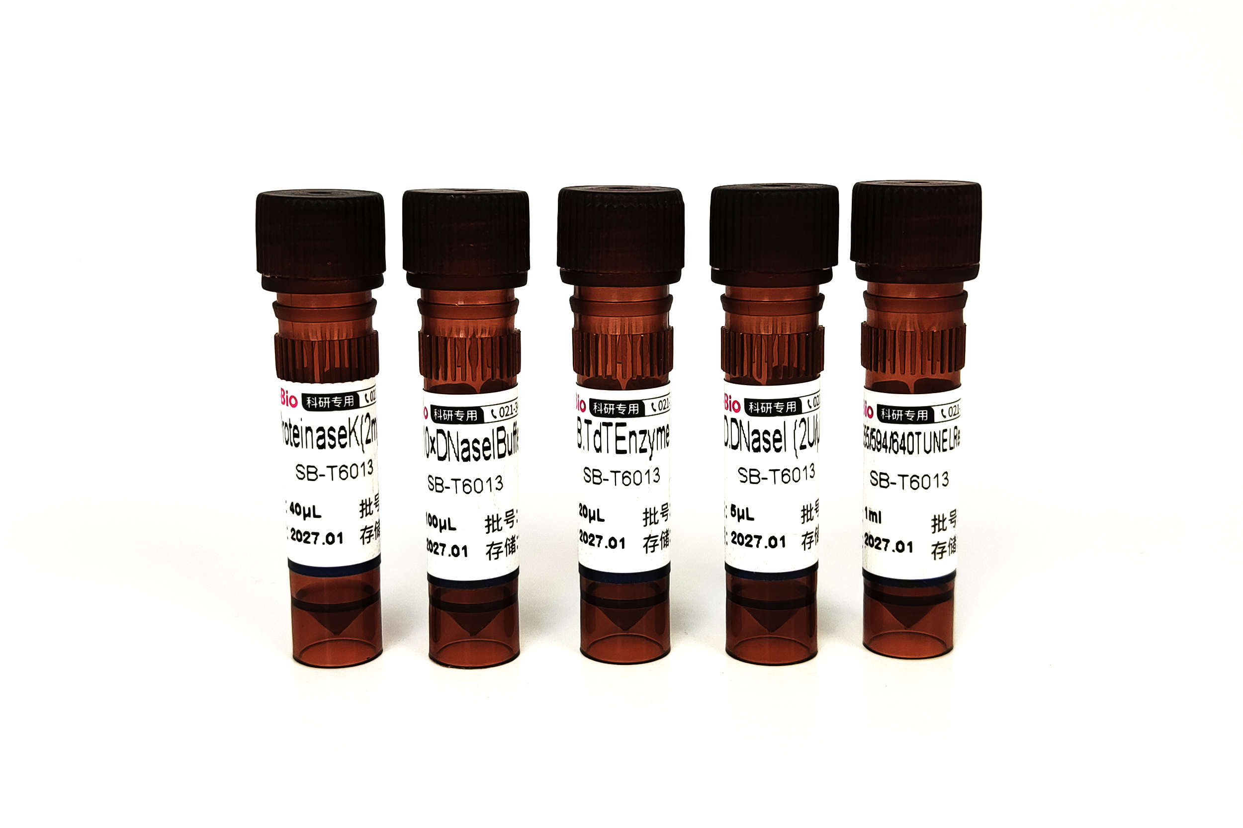 488 TUNEL 细胞凋亡试剂盒(绿色荧光) 488 TUNEL Assay Kits for In Situ Apoptosis Detection