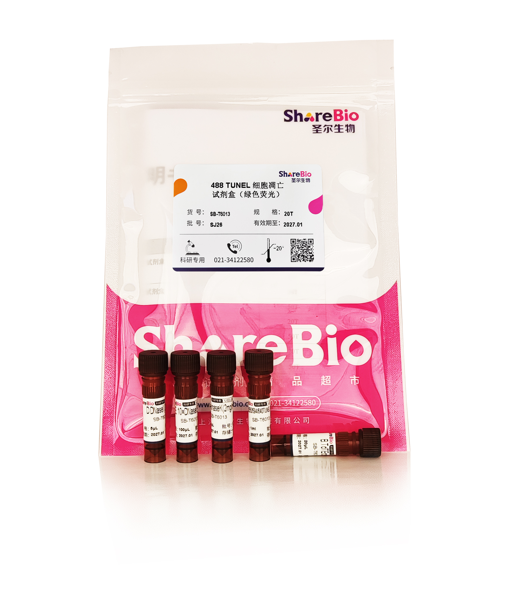 488 TUNEL 细胞凋亡试剂盒(绿色荧光) 488 TUNEL Assay Kits for In Situ Apoptosis Detection