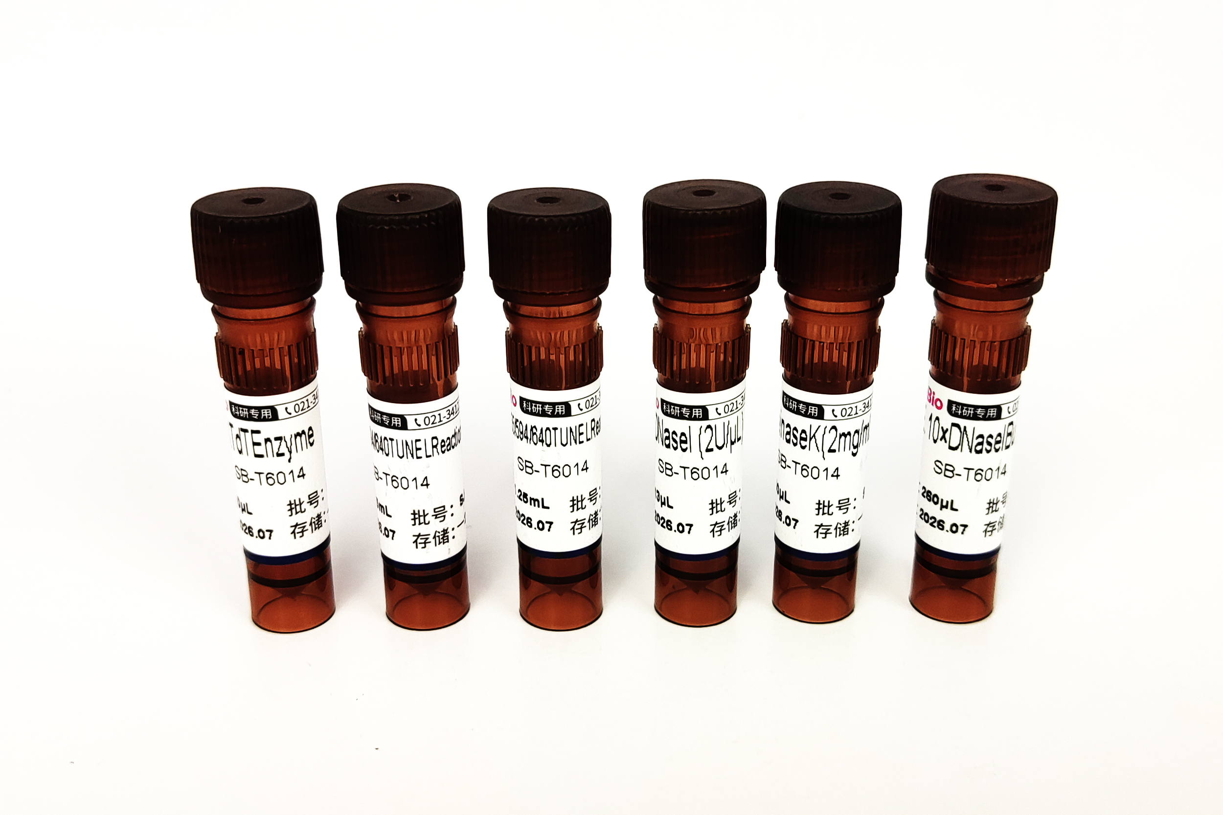 594 TUNEL 细胞凋亡试剂盒(红色荧光) 594 TUNEL Assay Kits for In Situ Apoptosis Detection