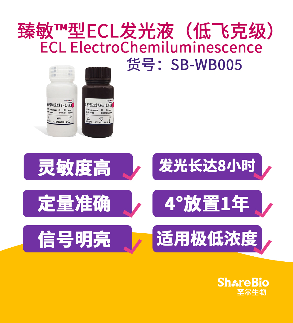 臻敏™型ECL发光液（低飞克级）ECL ElectroChemiluminescence