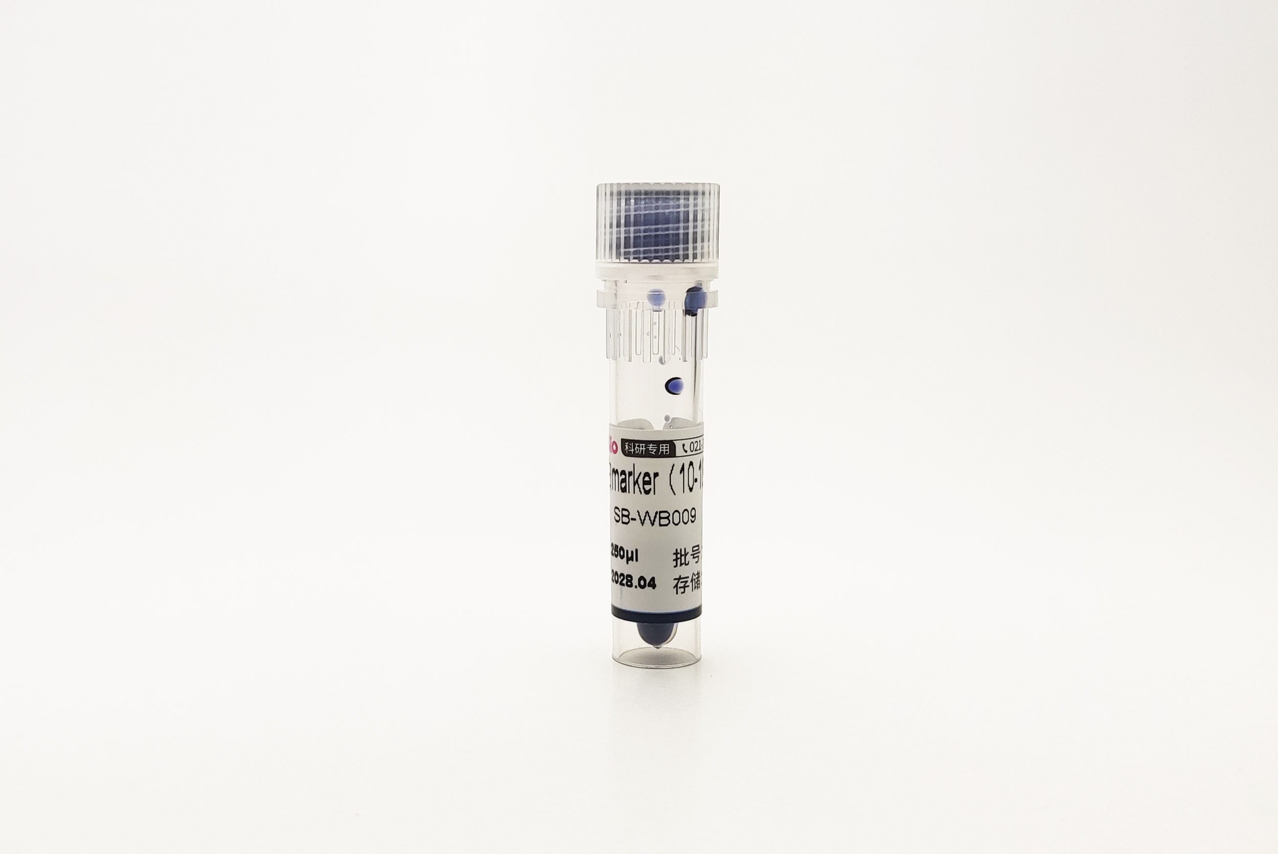 彩色预染蛋白marker(10-180 kDa)