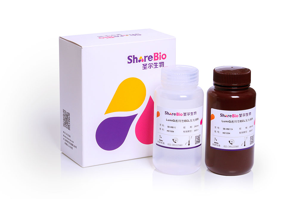 通用型ECL发光液