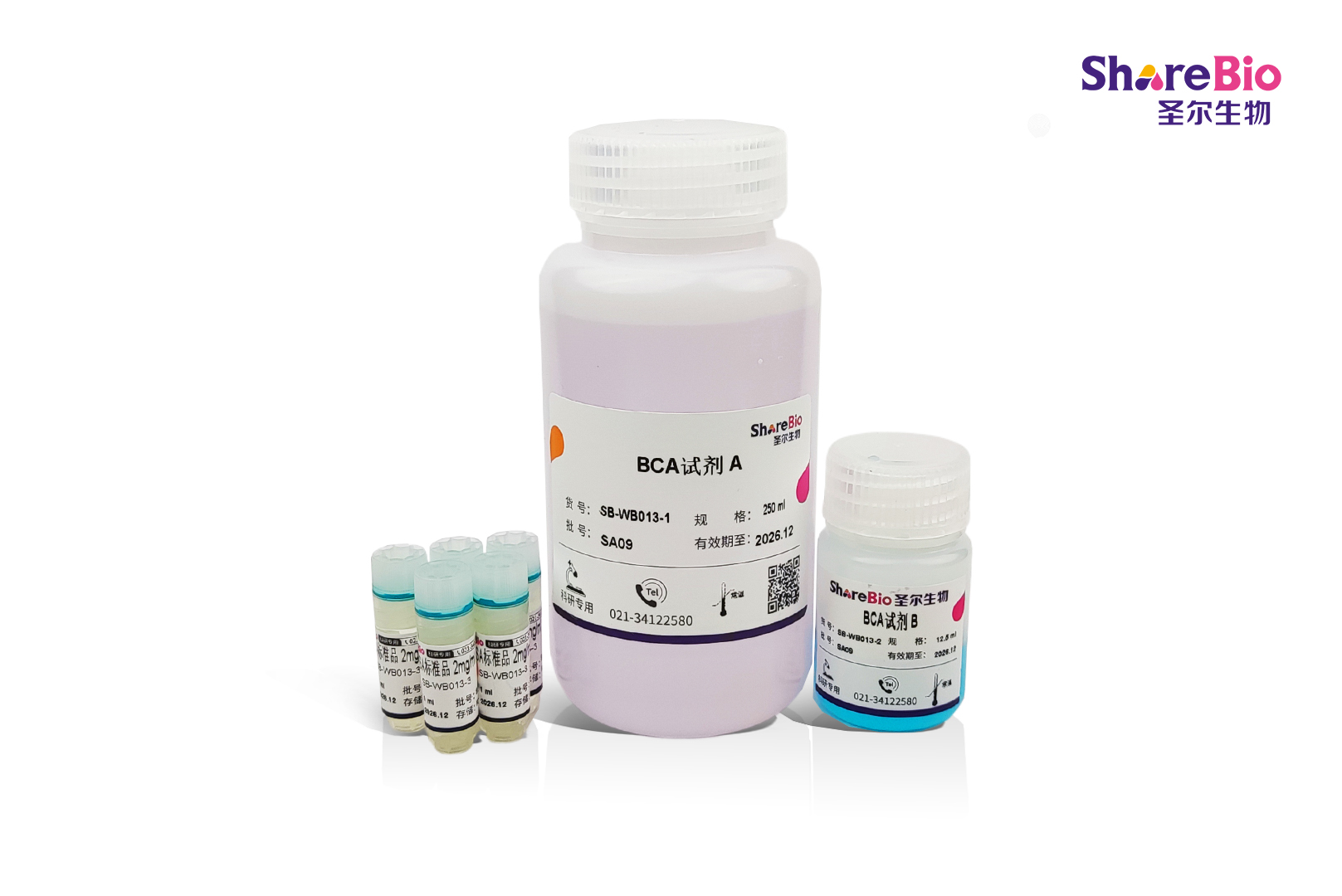 BCA蛋白定量试剂盒 BCA Protein Assay Kit