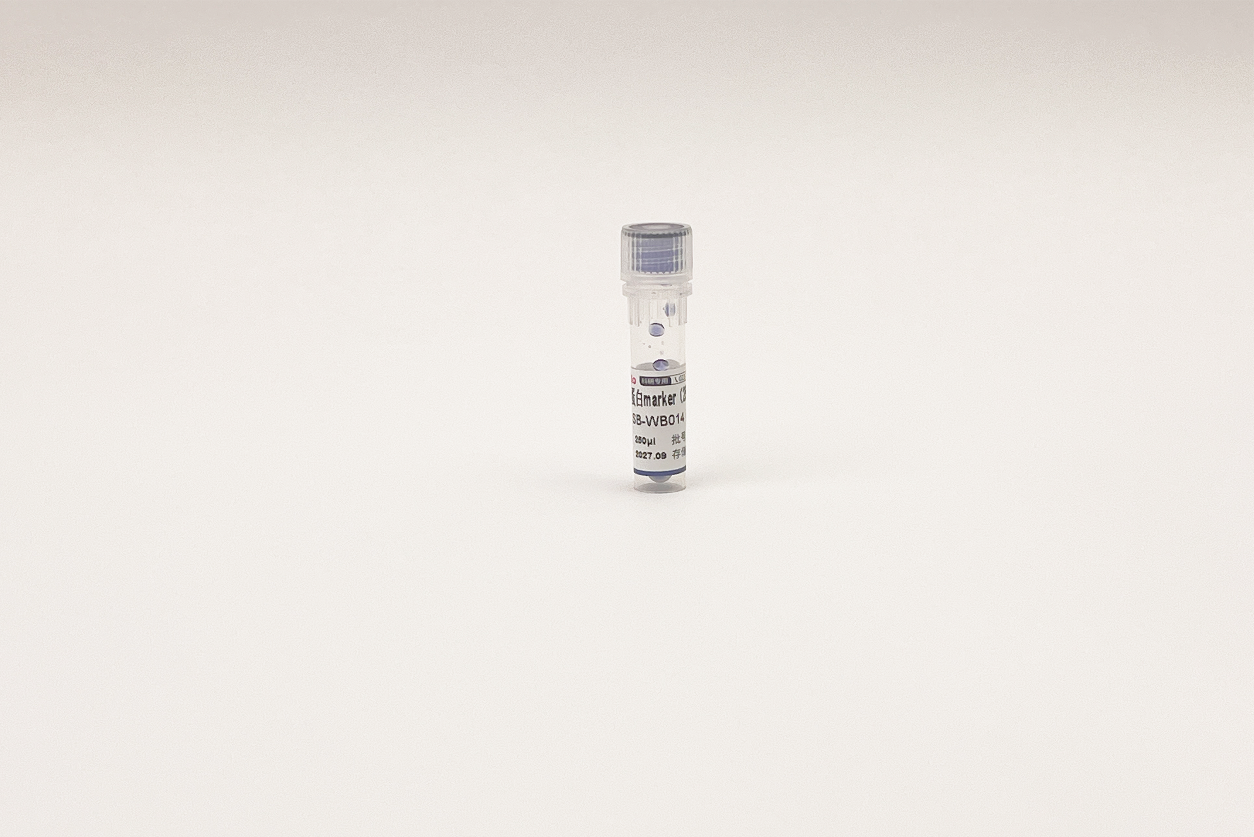 彩色预染蛋白Marker(25-300 kDa)