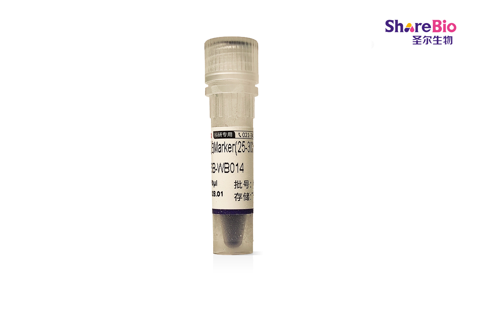 彩色预染蛋白Marker(25-300 kDa)