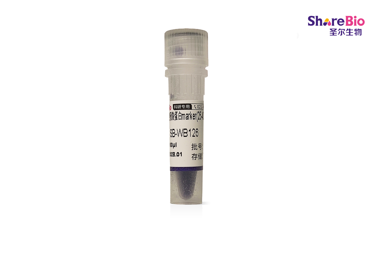 高分子量彩色预染蛋白marker(25-400 kDa)