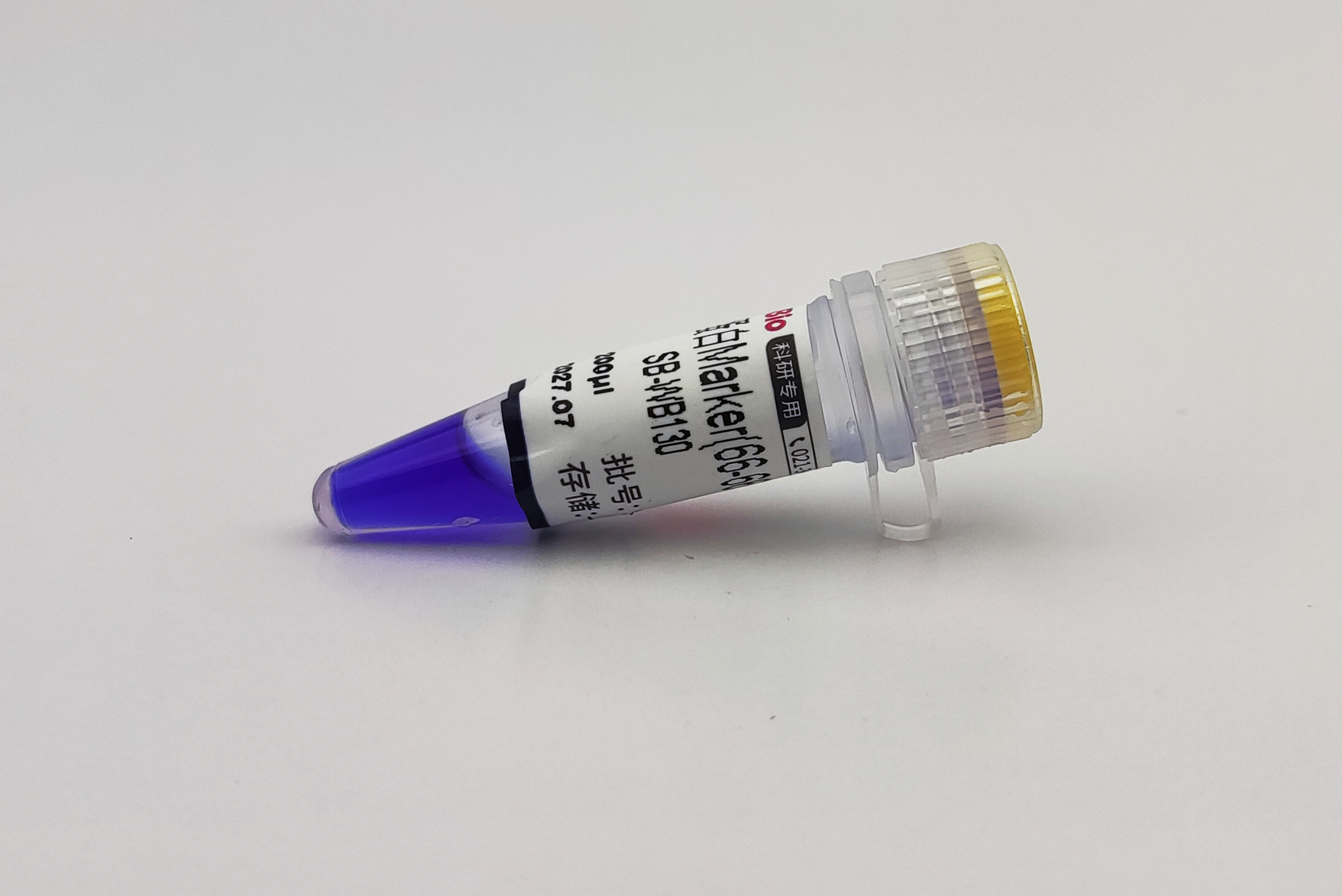 非变性蛋白Marker(66-669 kD)