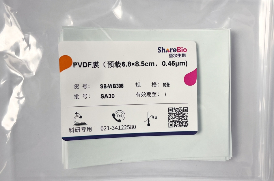 PVDF膜(预裁6.8×8.5cm,0.45μm) Polyvinylidene Fluoride