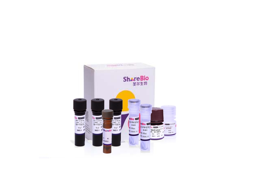 三色酪酰胺信号放大试剂盒(鼠兔通用)Three color tyramide signal amplification kit (pika universal secondary antibody)