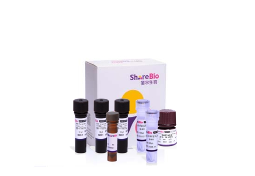 四色酪酰胺信号放大试剂盒(鼠兔通用) Four color tyramide signal amplification kit (pika universal secondary antibody)