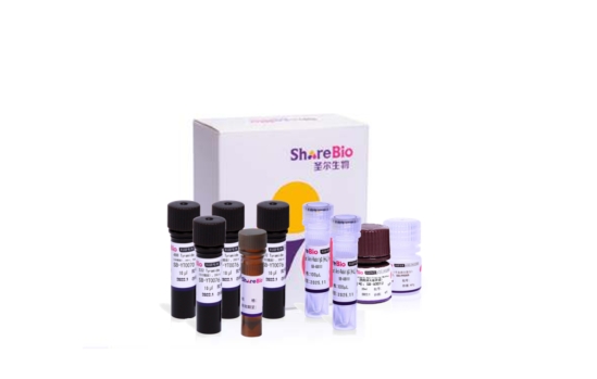 五色酪酰胺信号放大试剂盒(抗兔二抗） Five color tyramide signal amplification kit (Rabbit secondary antibody)