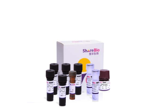 六色酪酰胺信号放大试剂盒(鼠兔通用) Six color tyramide signal amplification kit (pika universal secondary antibody)