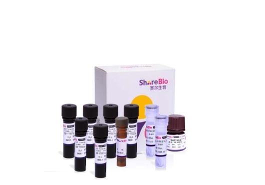 七色酪酰胺信号放大试剂盒(鼠兔通用) Seven color tyramide signal amplification kit (pika universal secondary antibody)
