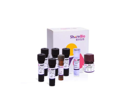 六色酪酰胺信号放大试剂盒(抗兔二抗) Six color tyramide signal amplification kit (Rabbit secondary antibody)
