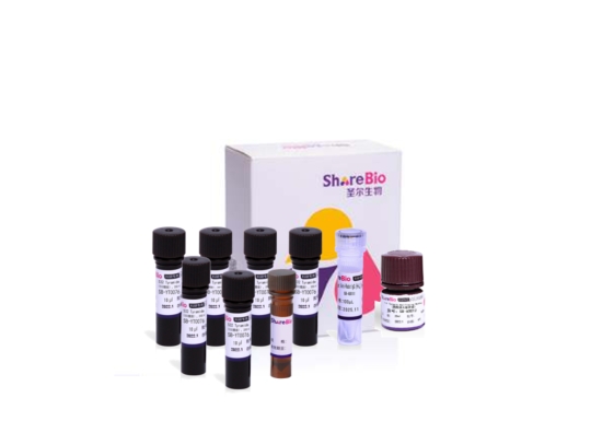 七色酪酰胺信号放大试剂盒(抗兔二抗)7重免疫荧光TSA试剂盒 Seven color tyramide signal amplification kit