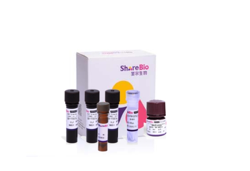 三色酪酰胺信号放大试剂盒(抗兔二抗)Three color tyramide signal amplification kit (Rabbit secondary antibody)