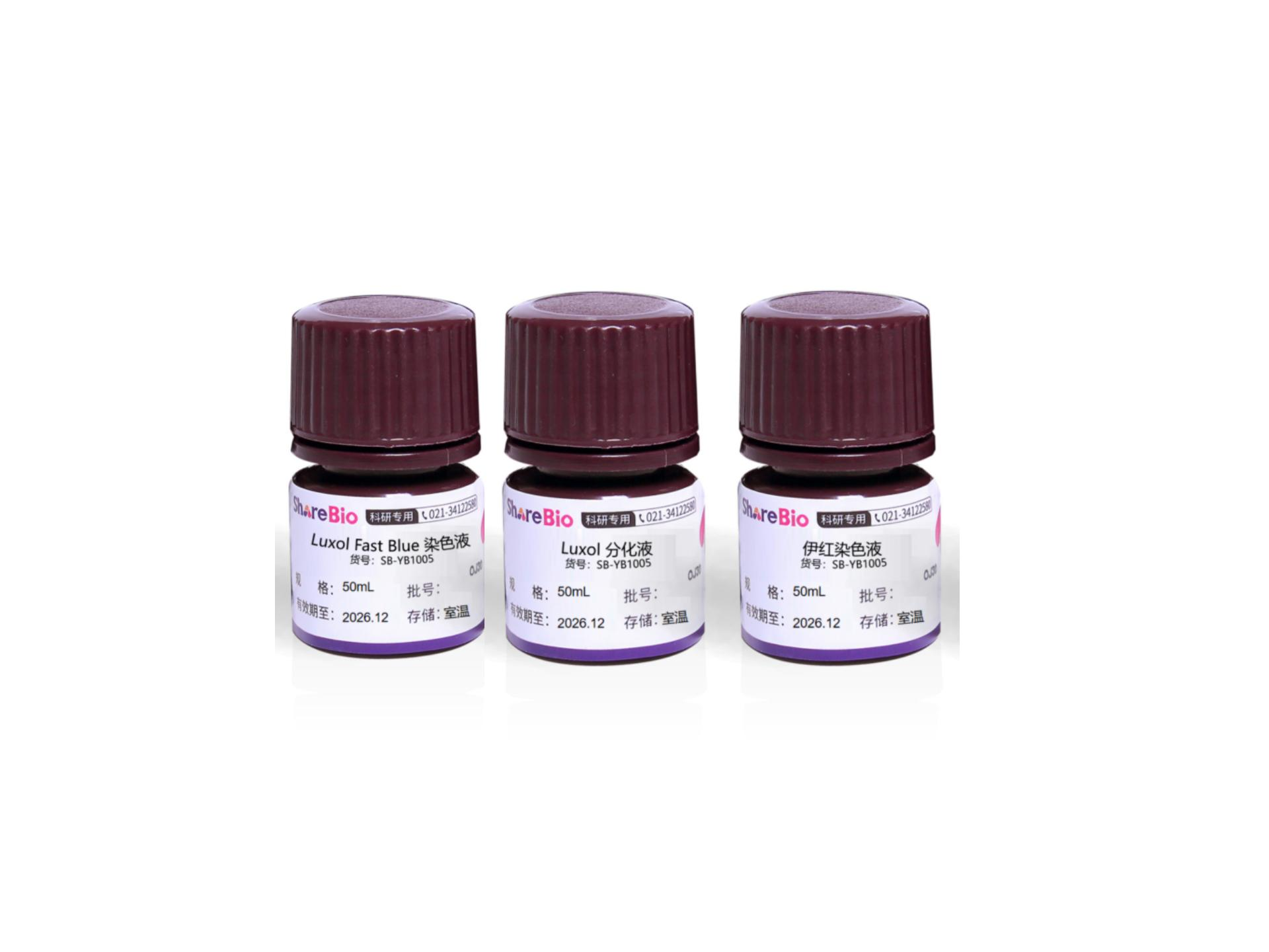 Luxol Fast Blue髓鞘染色液