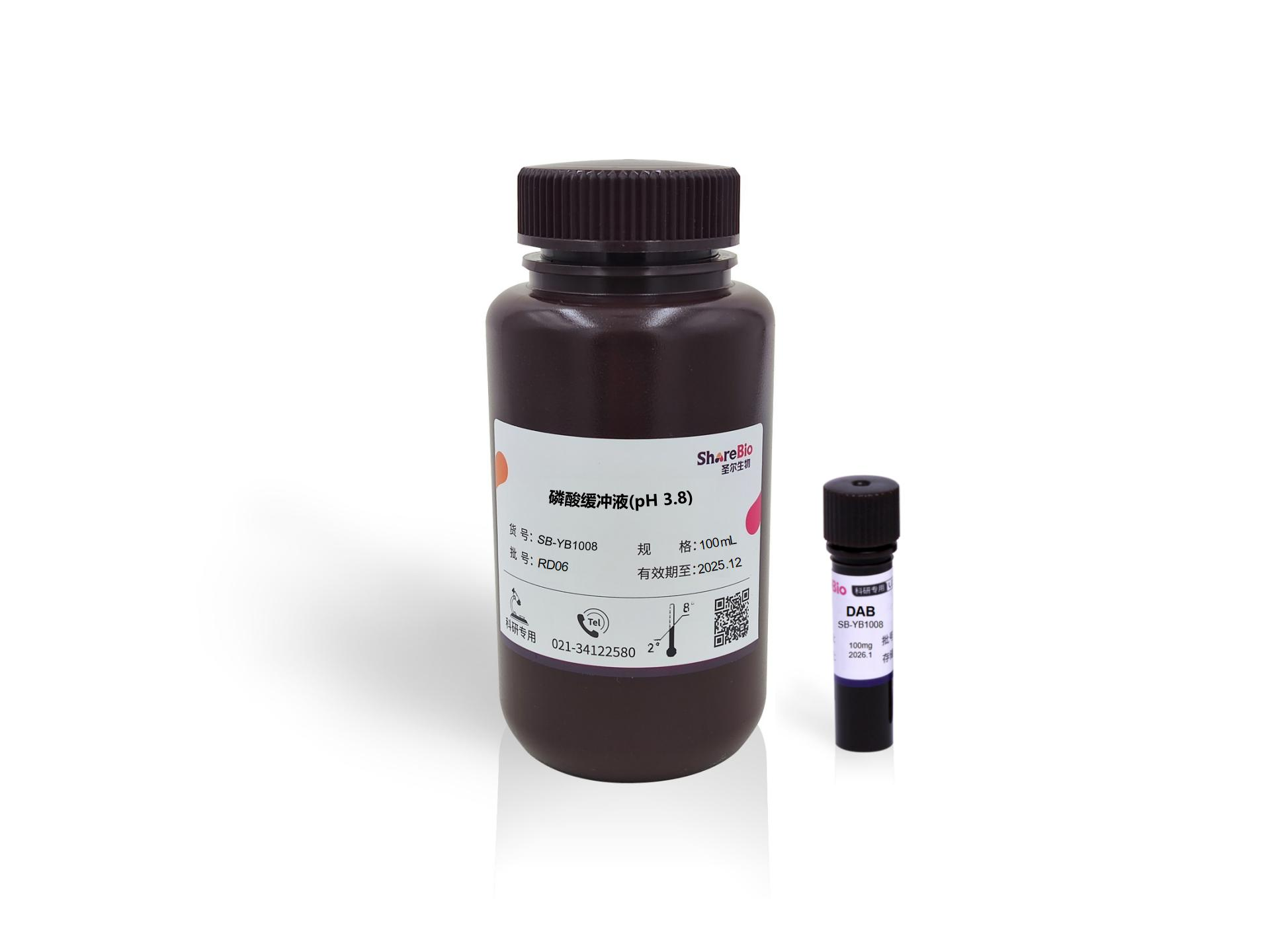 DAB染色液(1mg/mL,pH3.8)