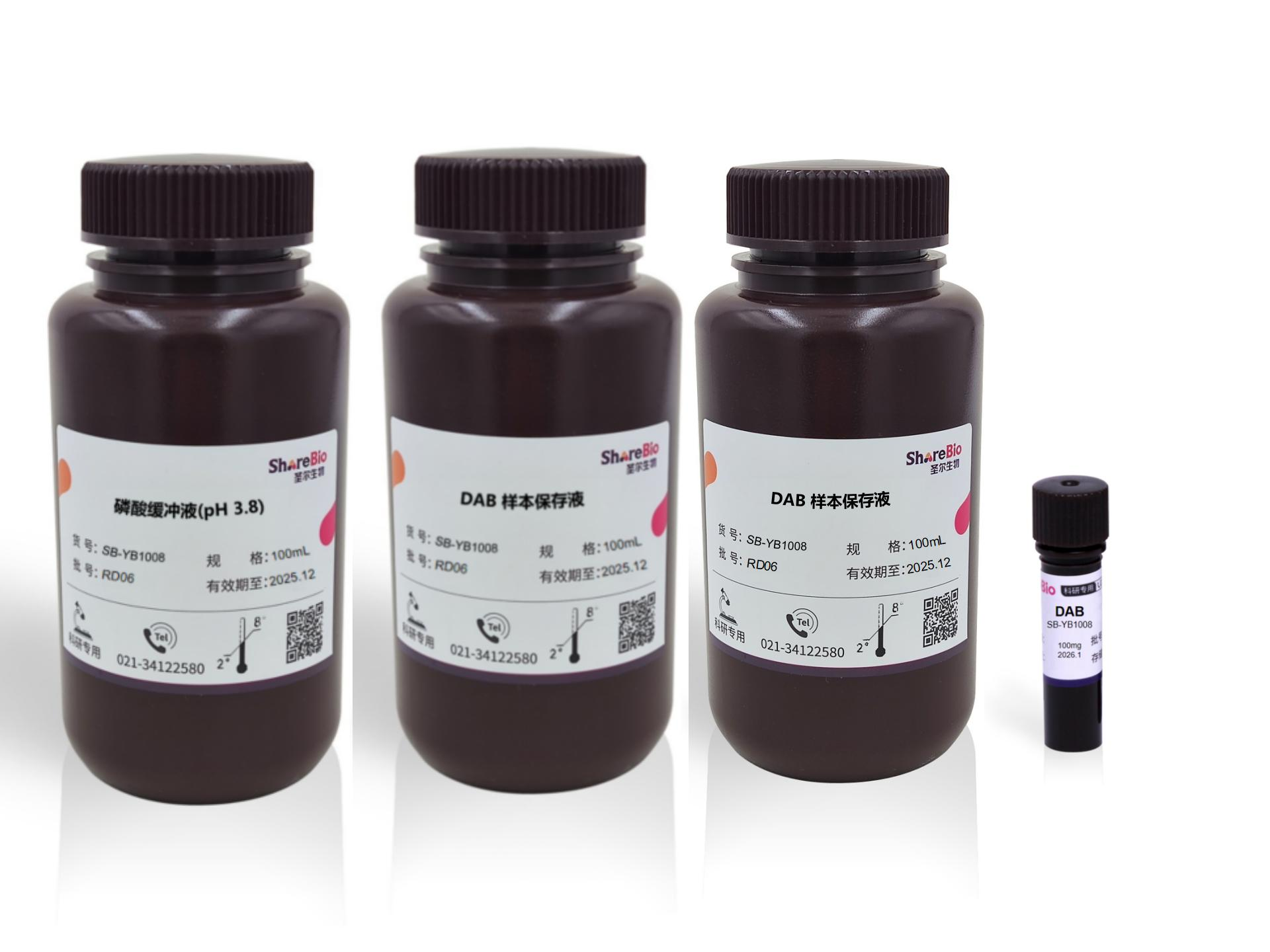 植物过氧化氢染色液(DAB,pH5.5)