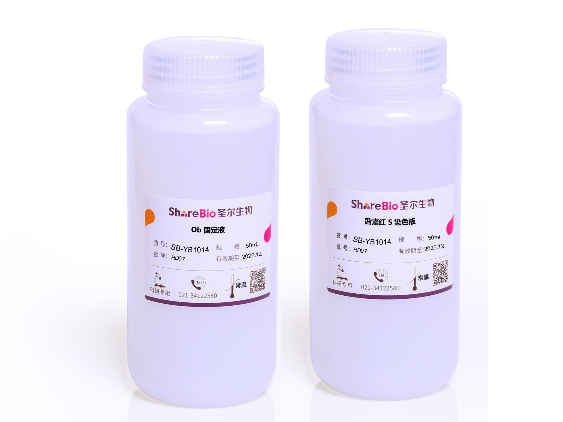 成骨细胞矿化结节染色液(茜素红S法)