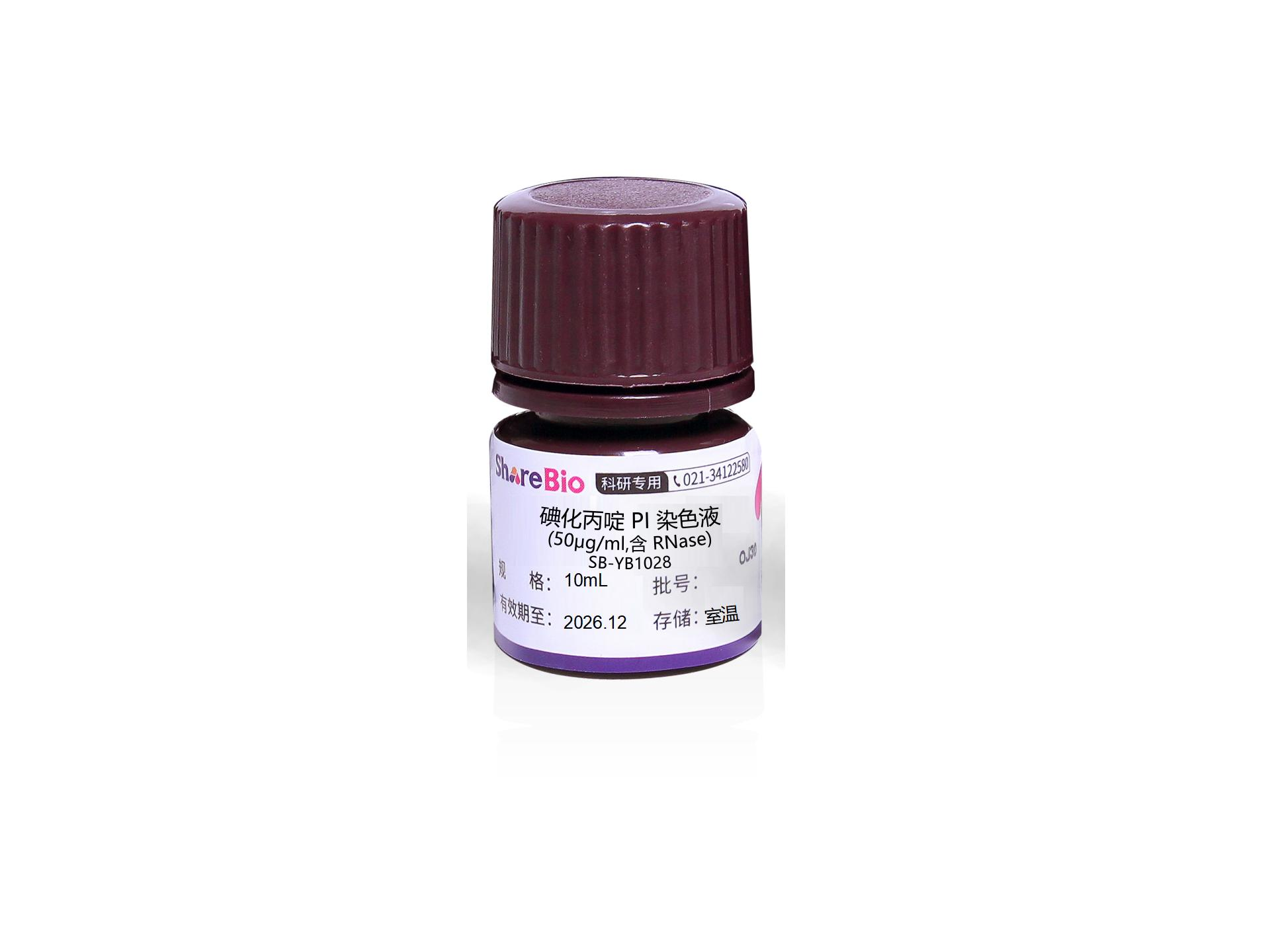碘化丙啶PI染色液(50μg/ml,含RNase)