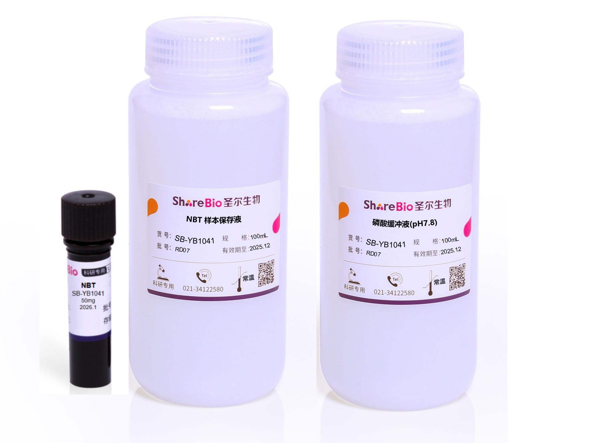 植物超氧阴离子染色液(NBT,pH7.8)
