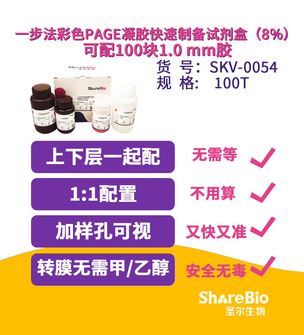 一步法彩色PAGE凝胶快速制备试剂盒（8%） 可配100块1.0 mm胶