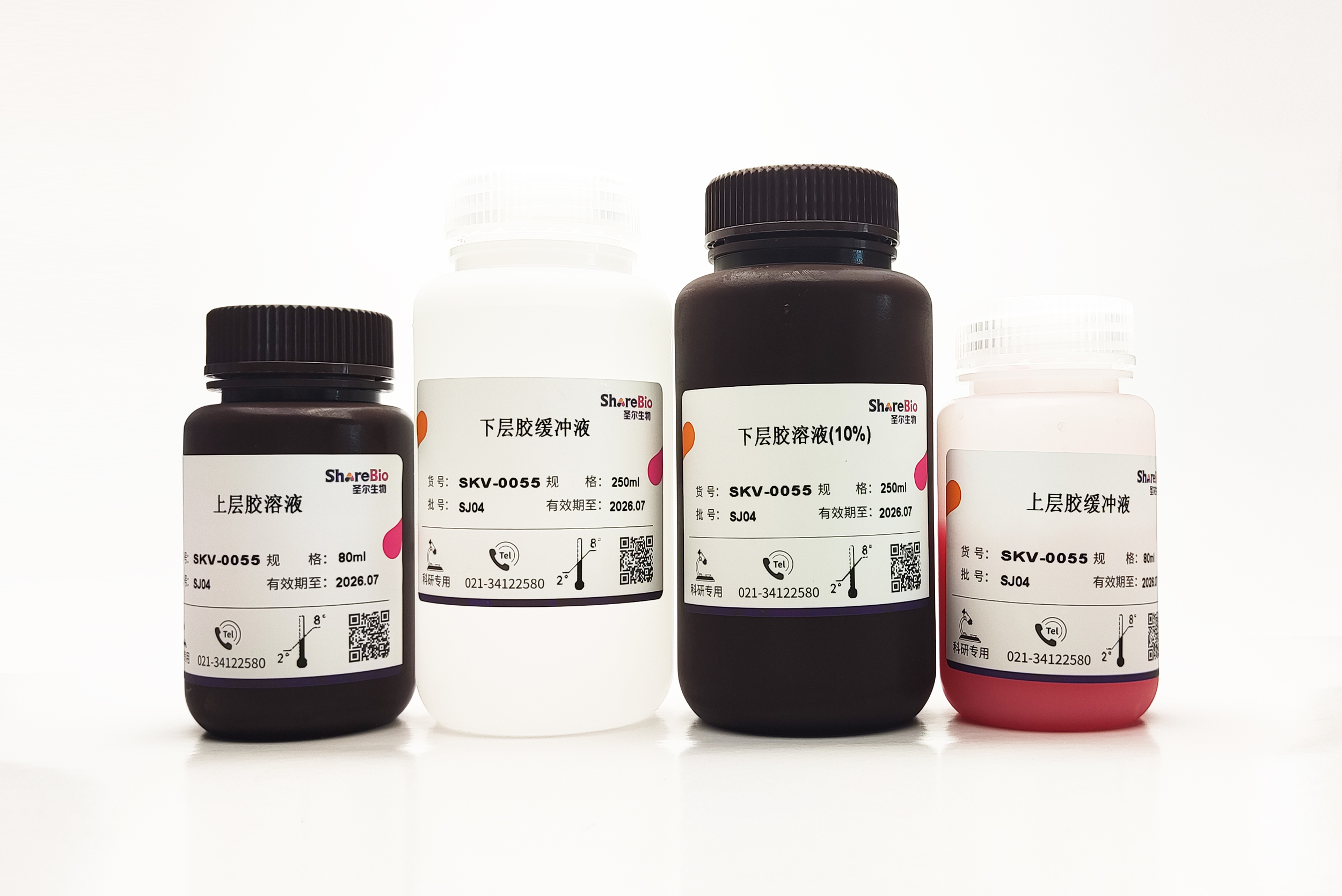 一步法彩色PAGE凝胶快速制备试剂盒10% 可配100块1.0 mm胶