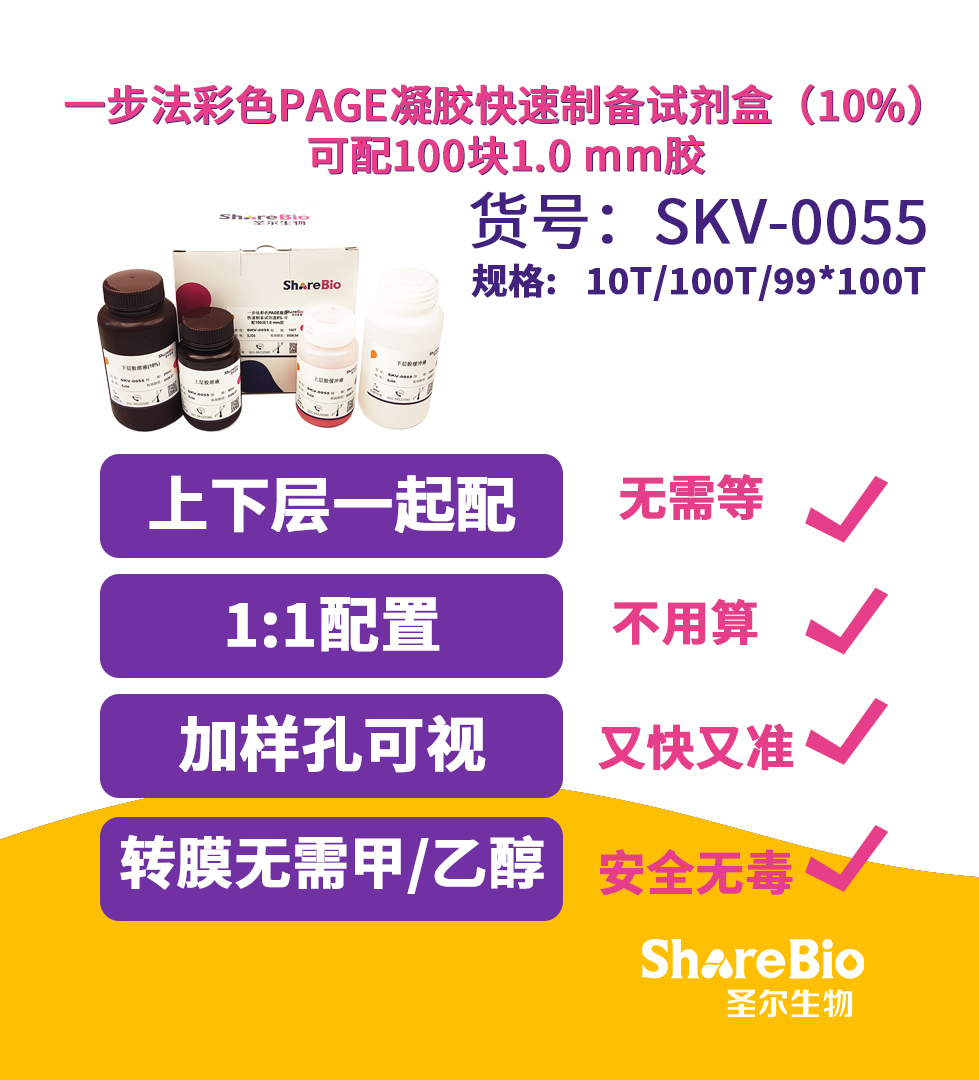 一步法彩色PAGE凝胶快速制备试剂盒（10%） 可配100块1.0 mm胶