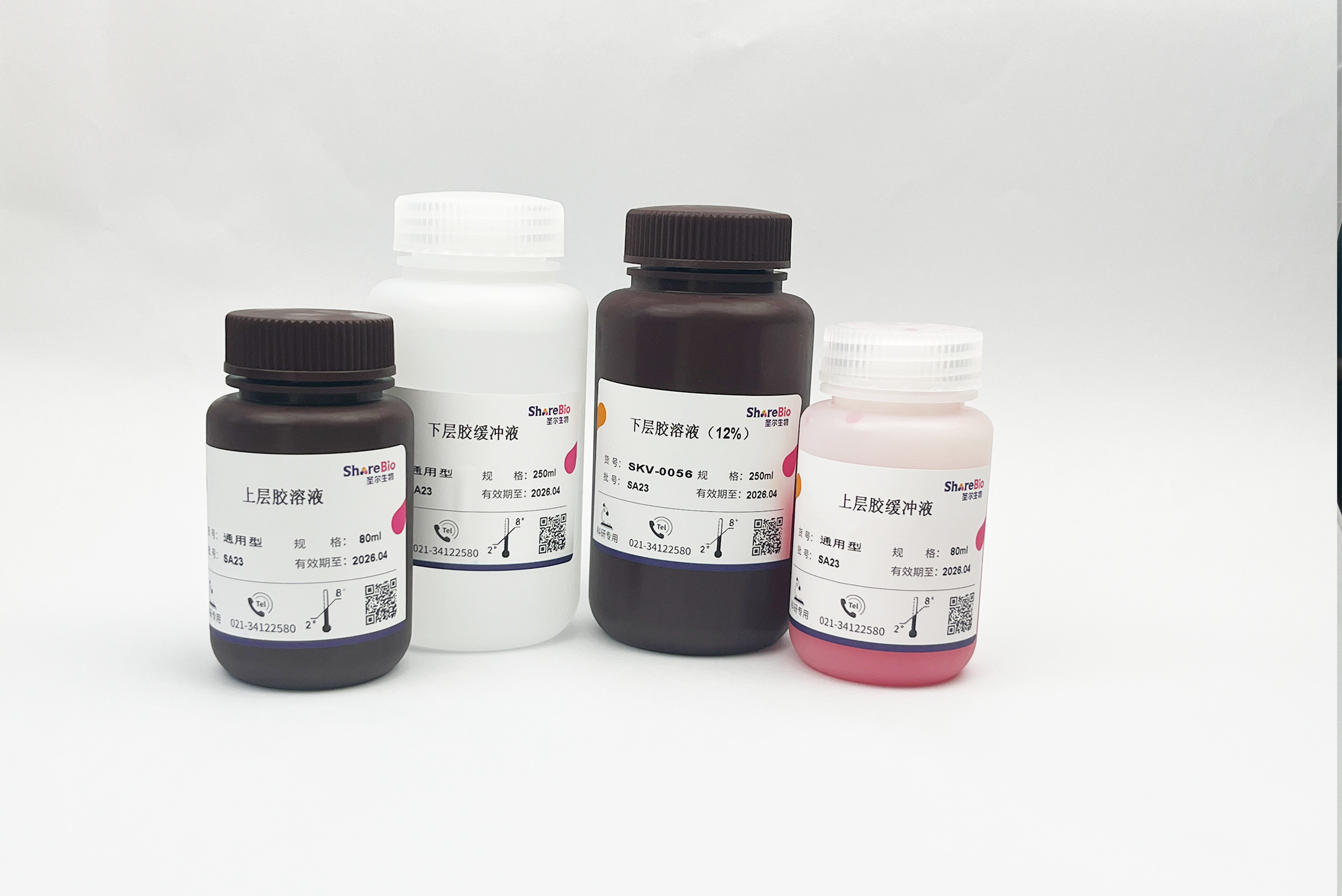 一步法彩色PAGE凝胶快速制备试剂盒12% 可配100块1.0 mm胶 PAGE Gel Preparation Kit
