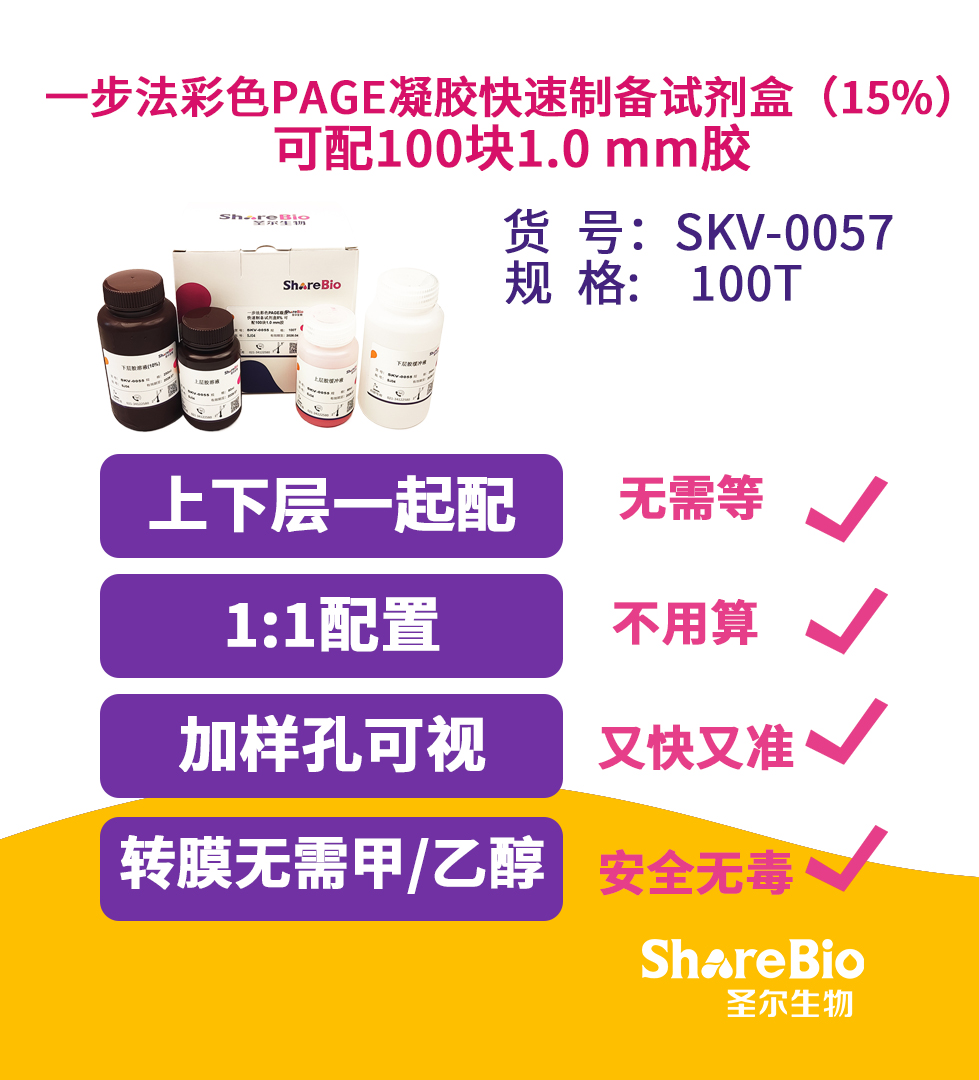 一步法彩色PAGE凝胶快速制备试剂盒（15%） 可配100块1.0 mm胶