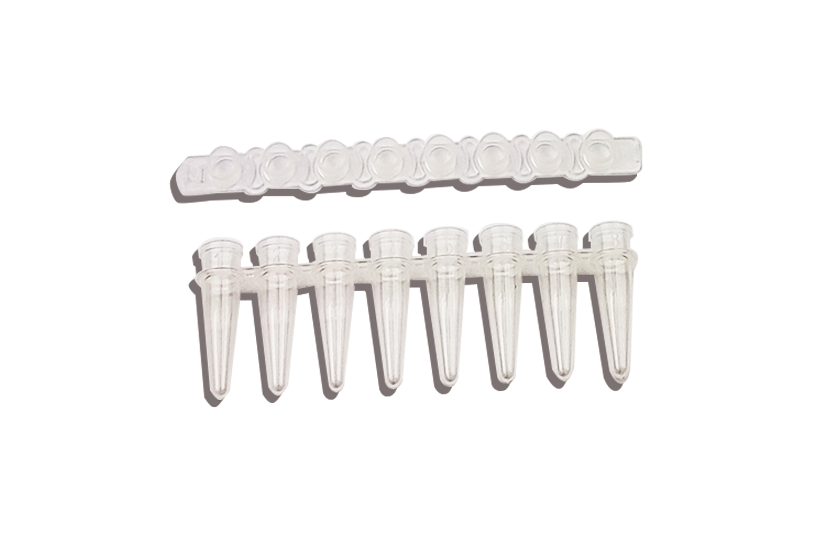 0.2ml pcr8联排管 平盖