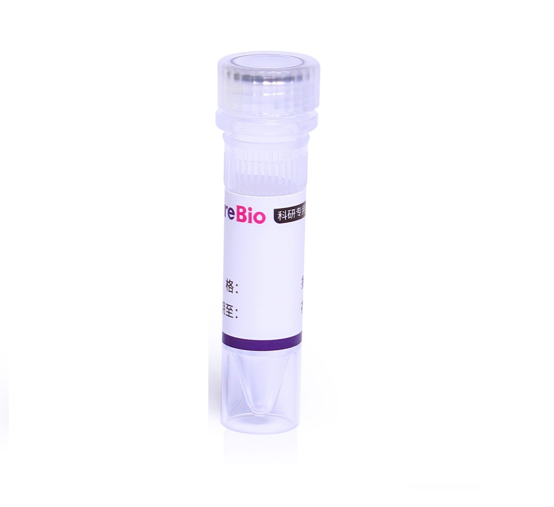 Glycogen 糖原(10mg/mL，RNA沉淀用)