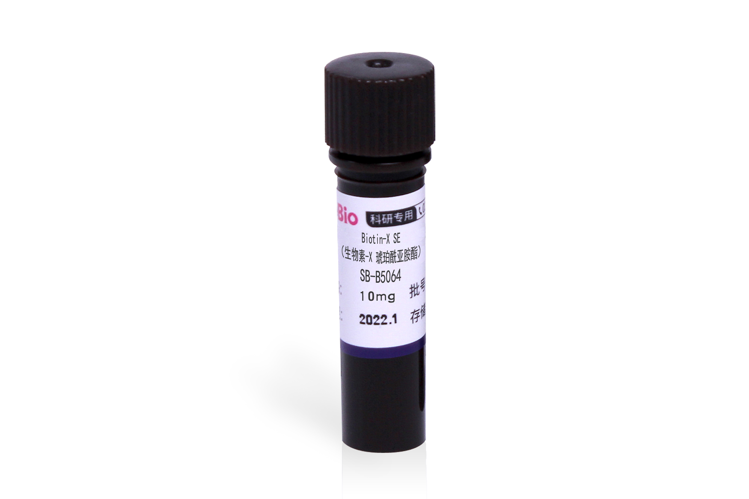 Biotin-X SE（生物素-X 琥珀酰亚胺酯）