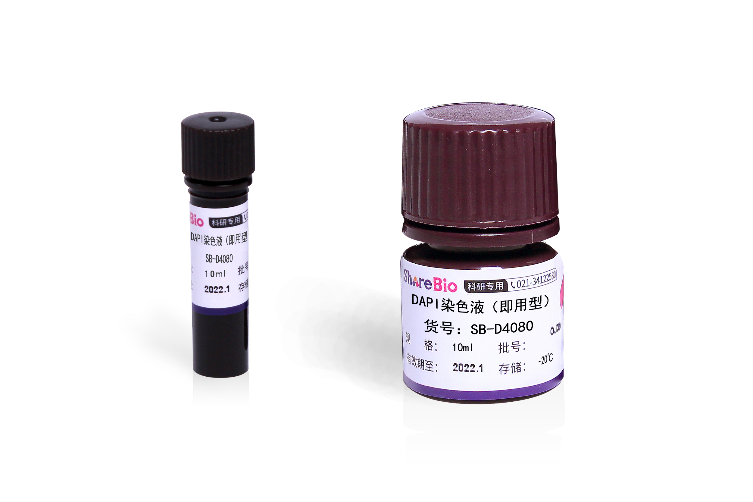 DAPI染色液(即用型) dihydrochloride DAPI Staining Solution(ready-to-use)
