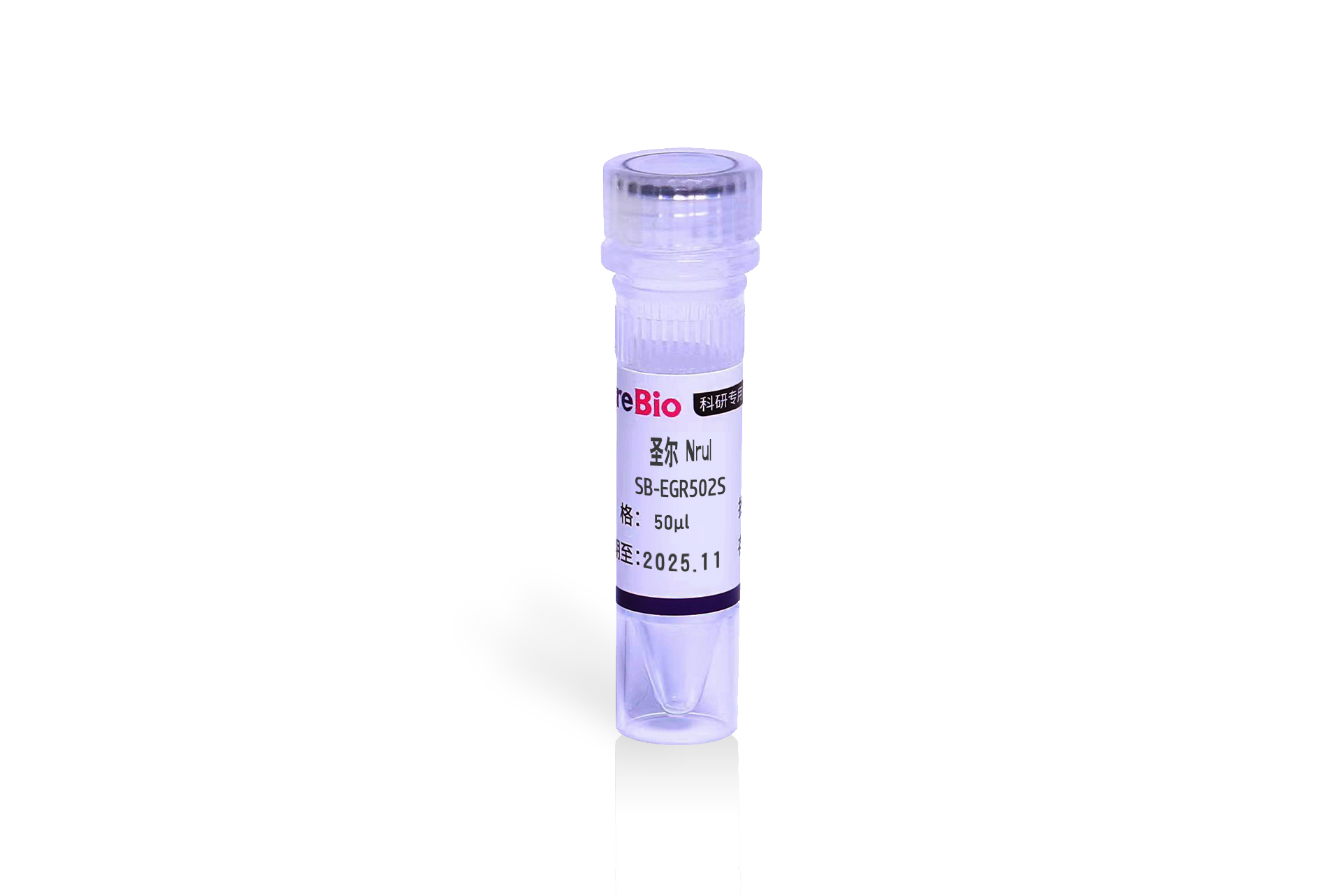 快速内切酶NruI（同裂酶Bsp68I，BtuMI，RruI）