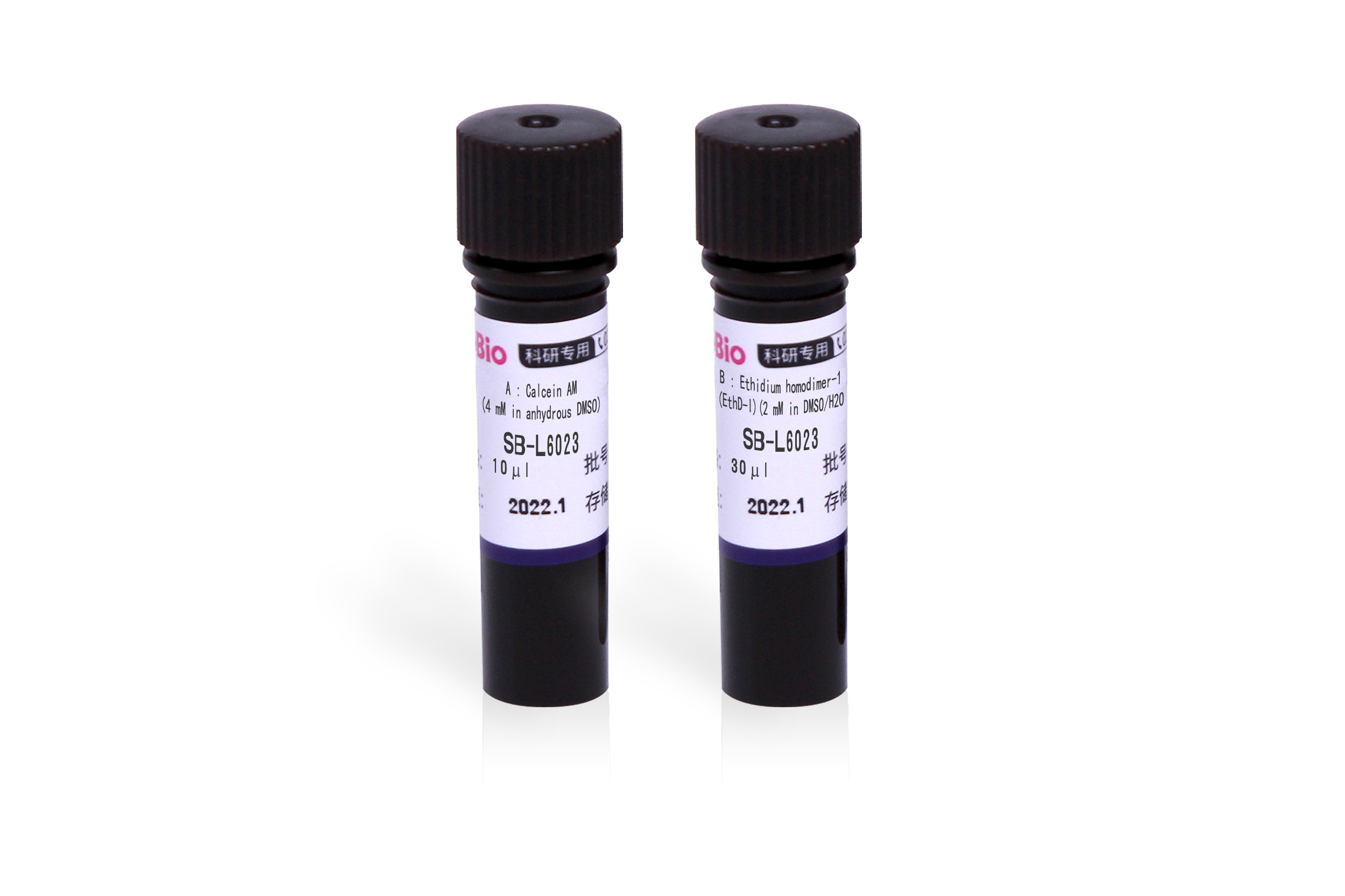 死活细胞测试剂盒 (Calcein AM, EthD-1) Dead and live Cell Stain (Calcein AM, EthD-1)