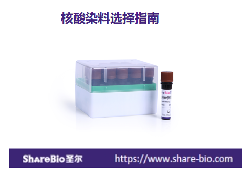 核酸染料选择指南