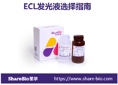 ECL发光液选择指南