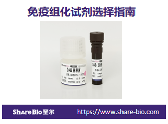 免疫组化试剂选择指南