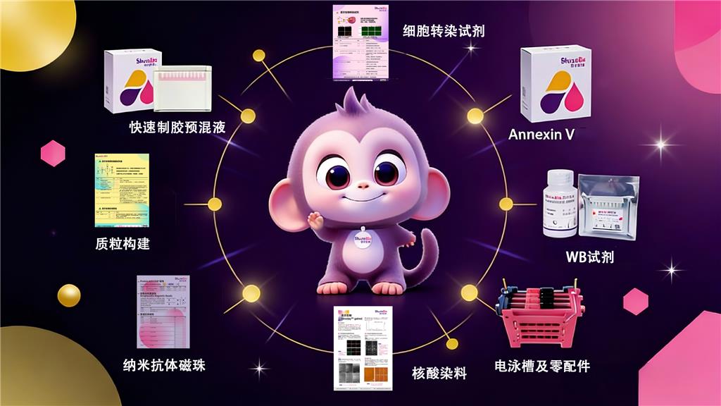 圣尔产品单页下载中心