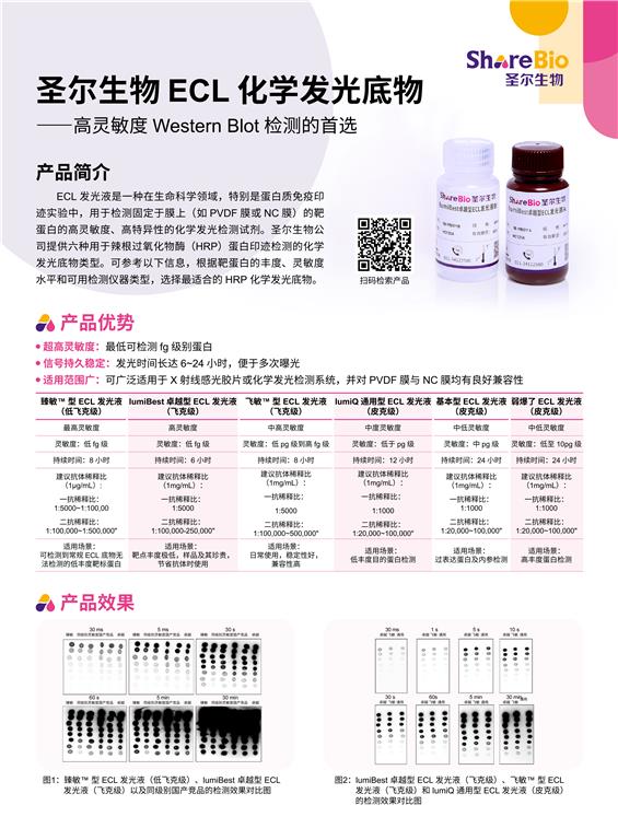 圣尔产品单页下载中心